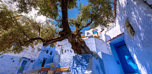 When Is The Best Time To Visit Morocco