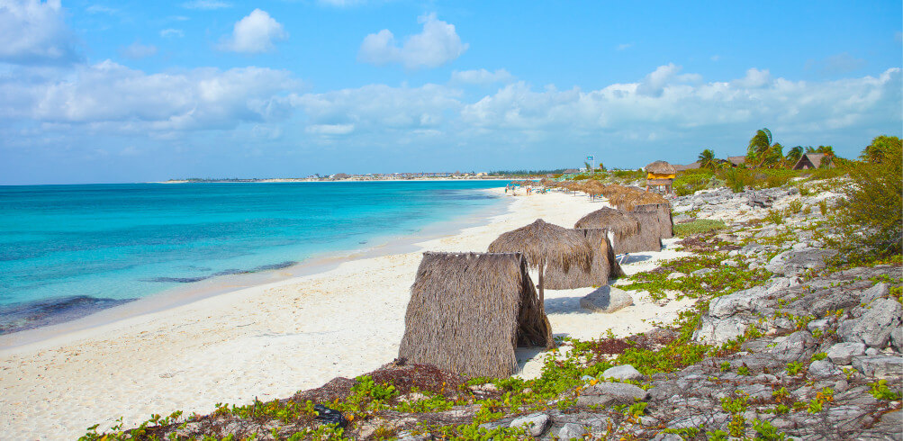 Snapshot: Bay Of Pigs 