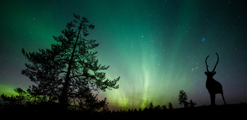 Snapshot: Northern Lights 
