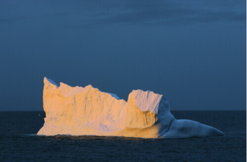 An iceberg in the Drake Passage.