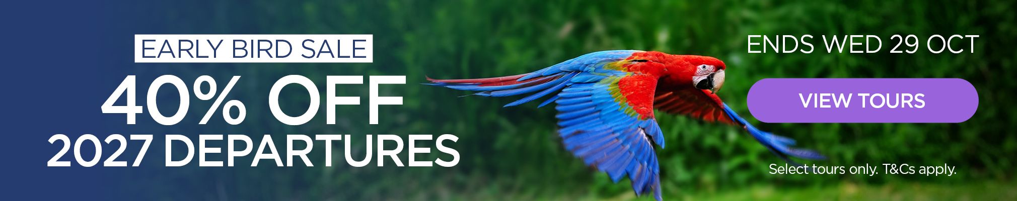 early-bird-22-29-oct