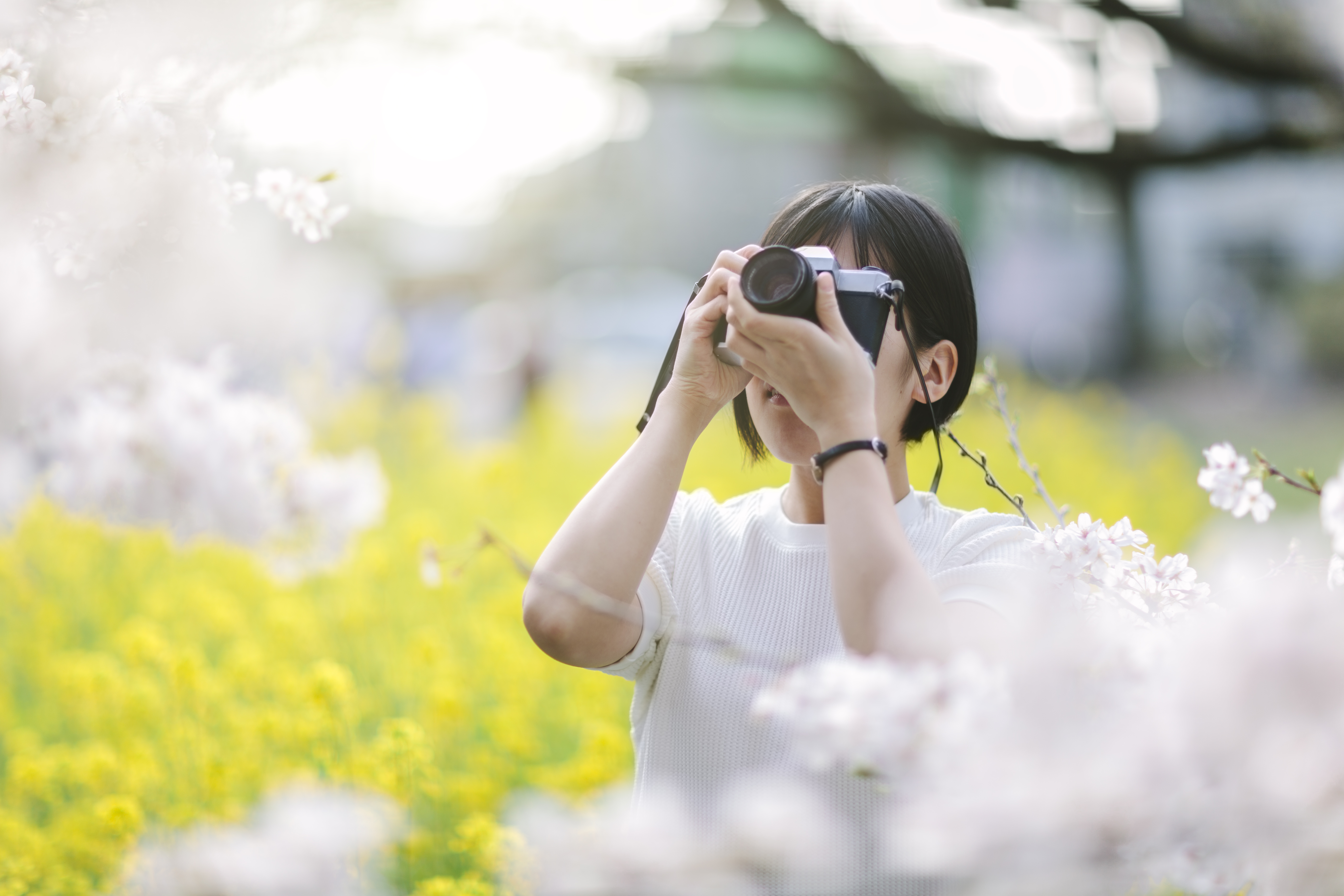 Photographing Tokyo&rsquo;s cherry blossoms &mdash; a favourite tradition for locals and visitors alike
