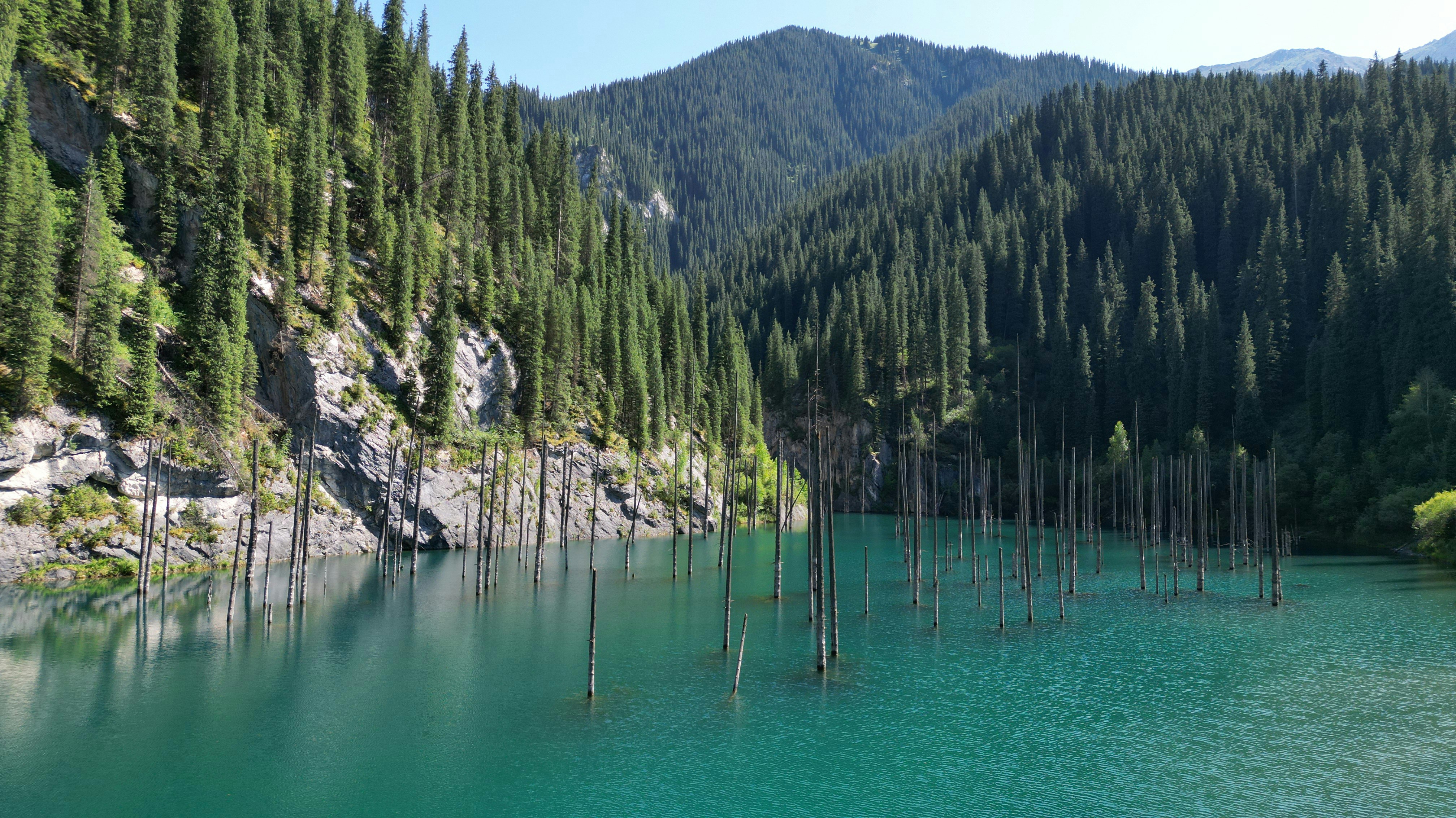 Submerged spruce trees in Lake Kaindy, a surreal alpine lake in the Kazakhstan mountains.
