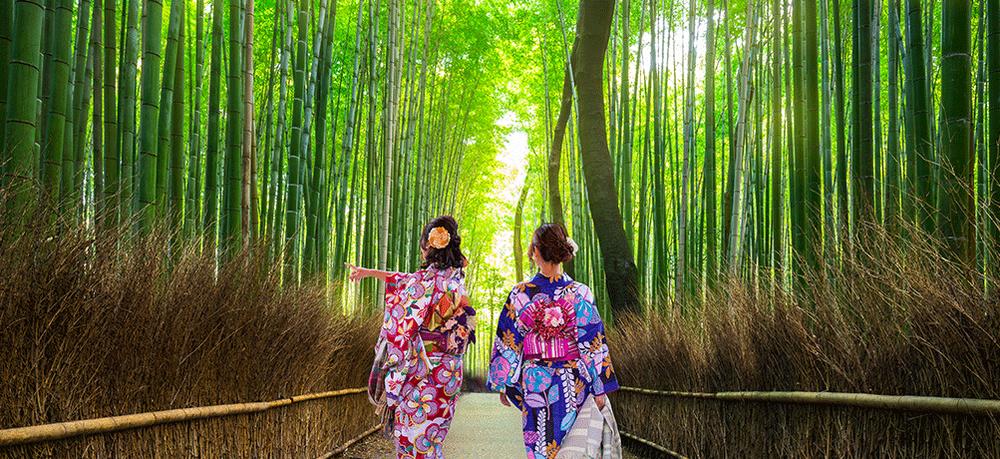 Customers On Tour: Nicole And Charlie On Inspiring Japan