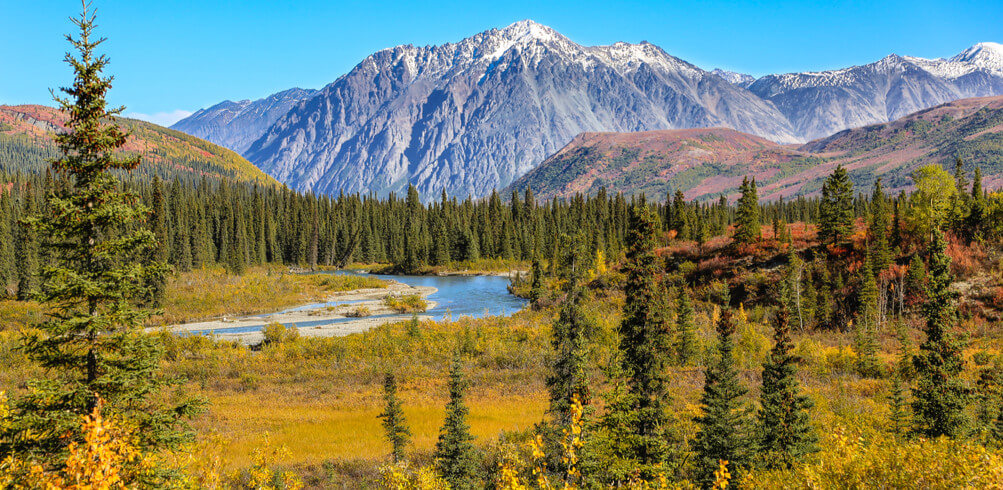 Snapshot: Denali  