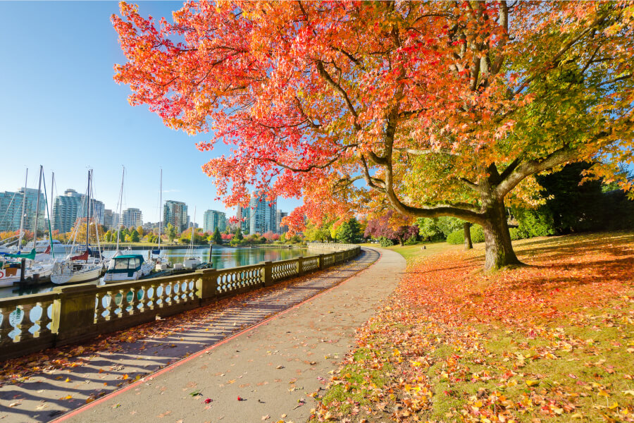 Autumn transforms Vancouver&rsquo;s Stanley Park into a wonderland