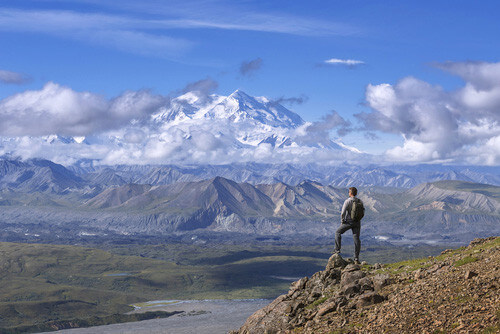 The Denali National Park hiking trail.