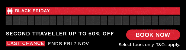 black-friday-buddy-to-7-nov