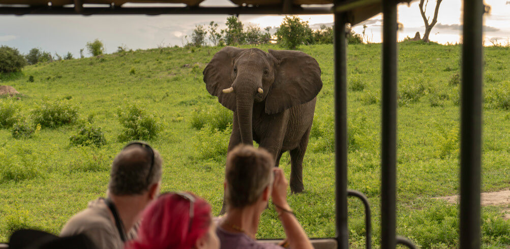Snapshot: Chobe National Park 