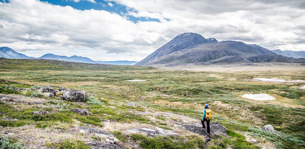A First Timer's Guide To Greenland