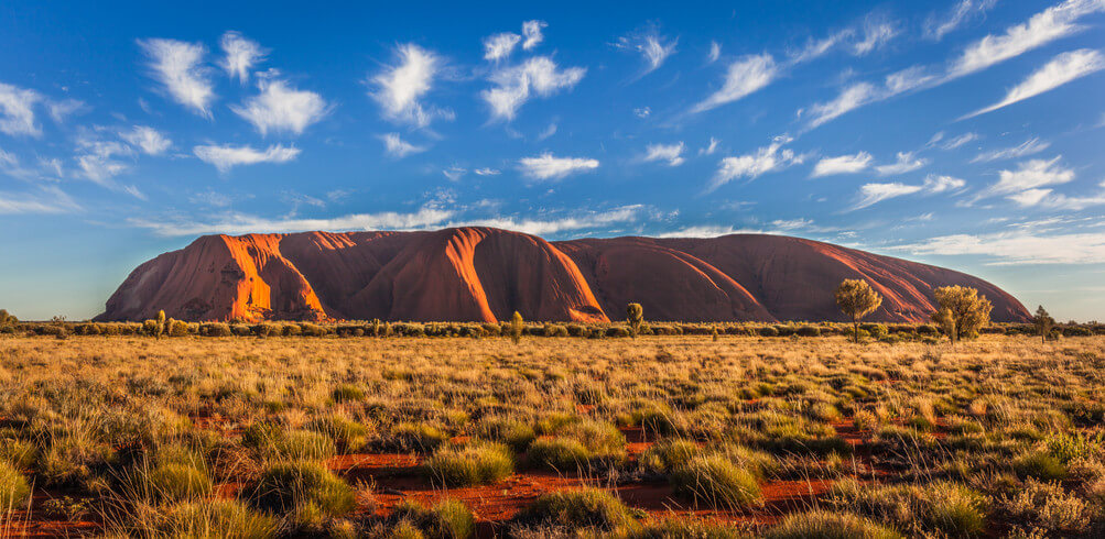 A Brief History Of Australia’s Heart 