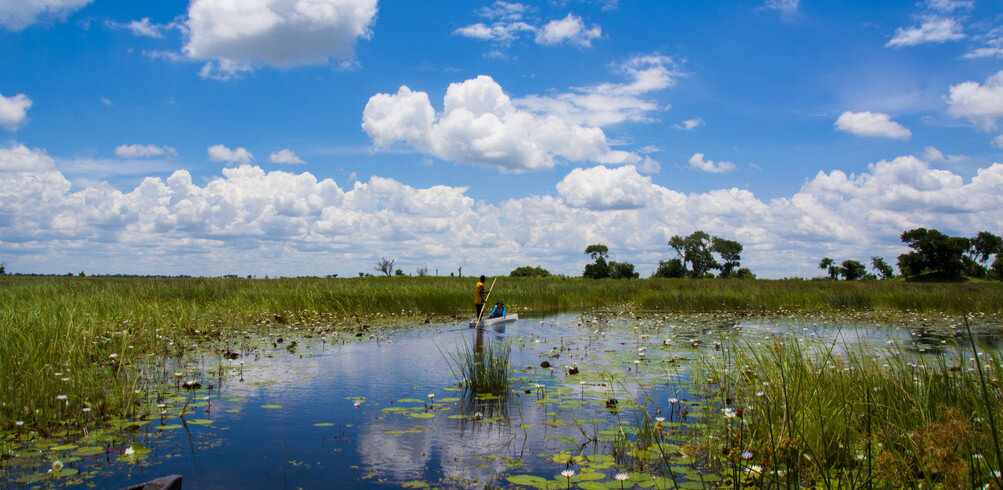 Snapshot: Maun 
