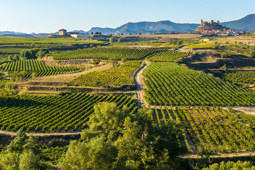 The picturesque La Rioja wine region of Spain.