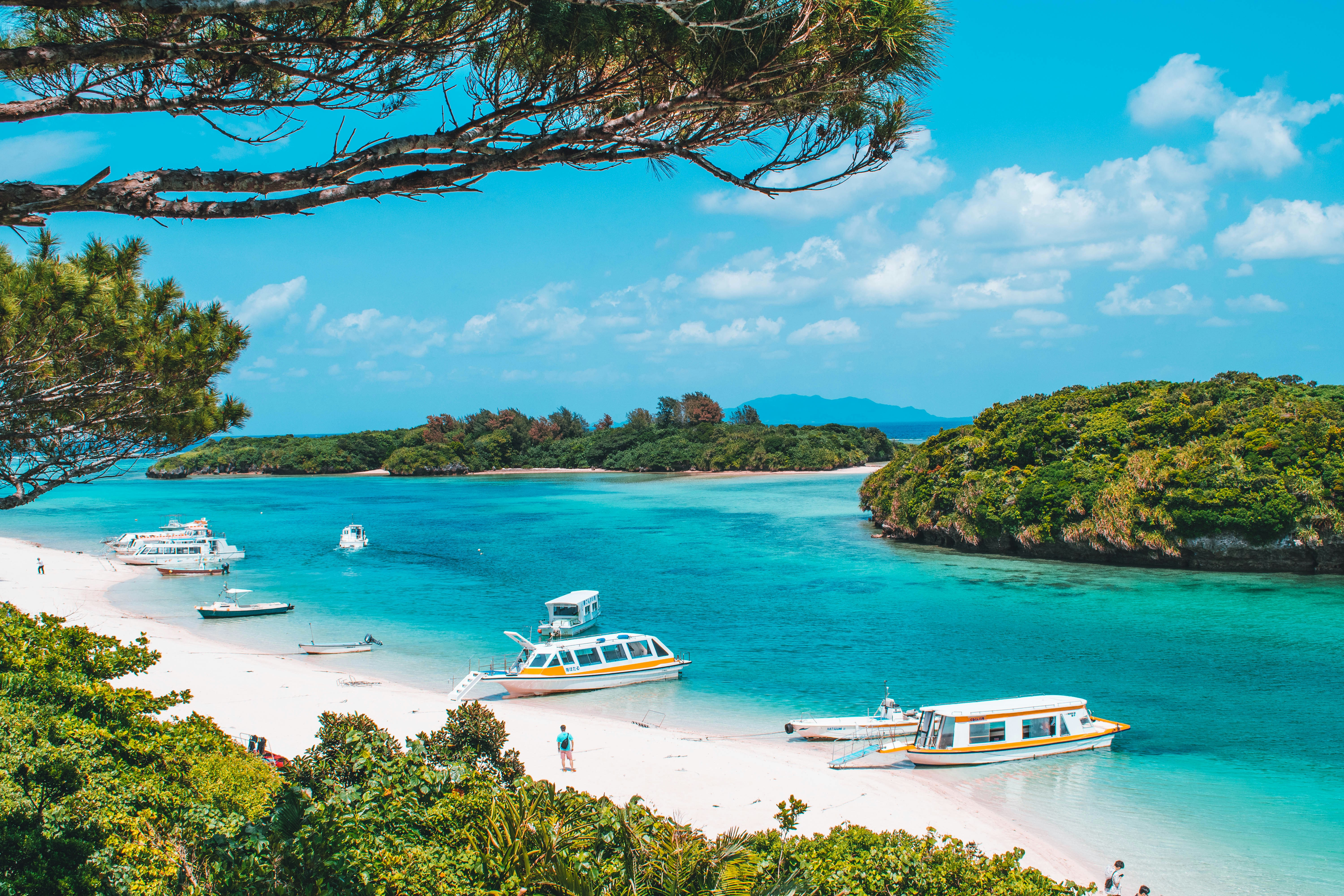 Okinawa Vs. Mainland Japan: Why The South Is A World Of Its Own