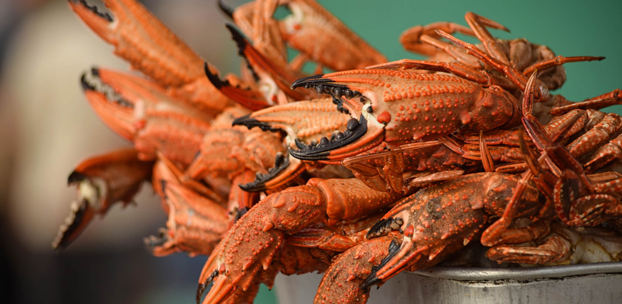 Snapshot: Crab Lunch In Galle 