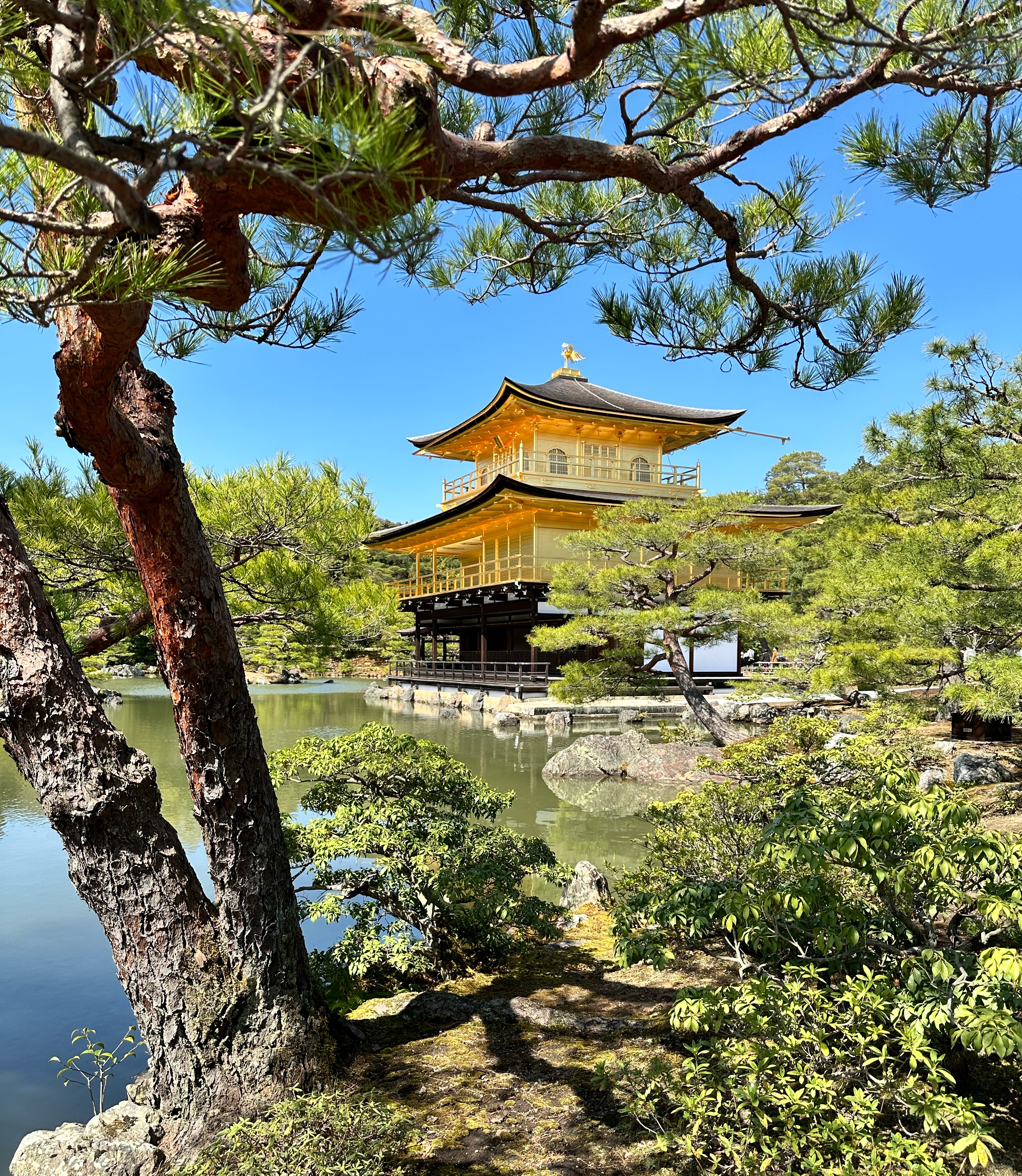 Customers On Tour: Rebecca And Leanne On Inspiring Japan