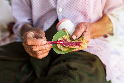 Betel nut being prepared by an elderly person.
