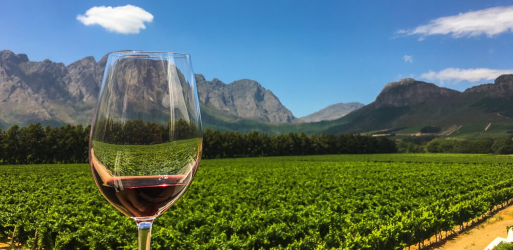 Wine And Dine: The Perfect Pairing