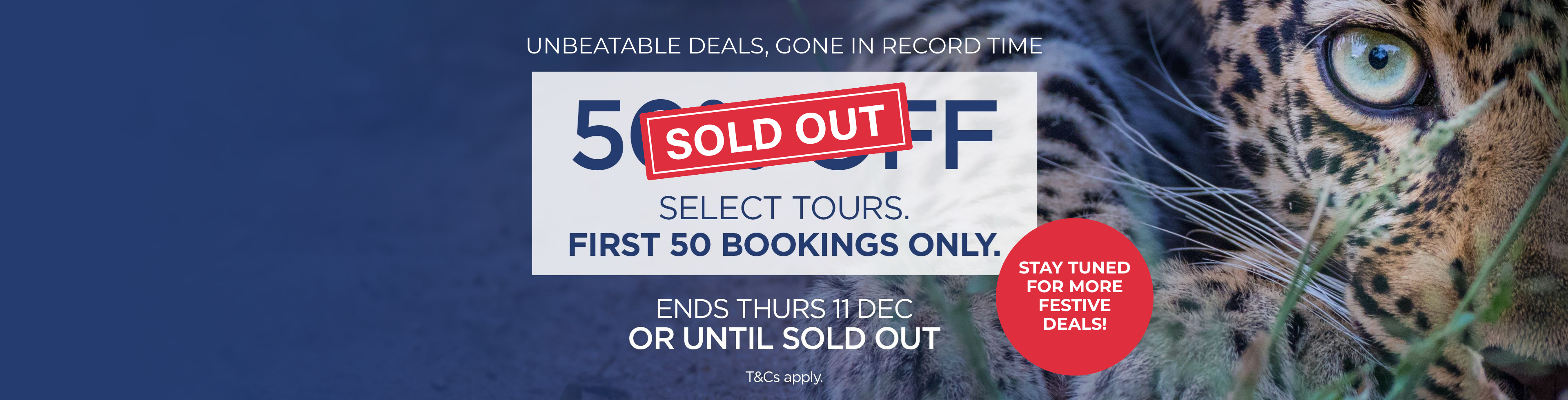 Flash Sale: 50% off. First 50 bookings only!