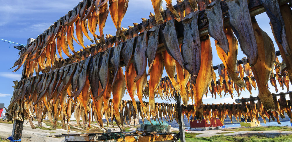 Contemporary Greenland Culture Icons You've Never Heard Of 