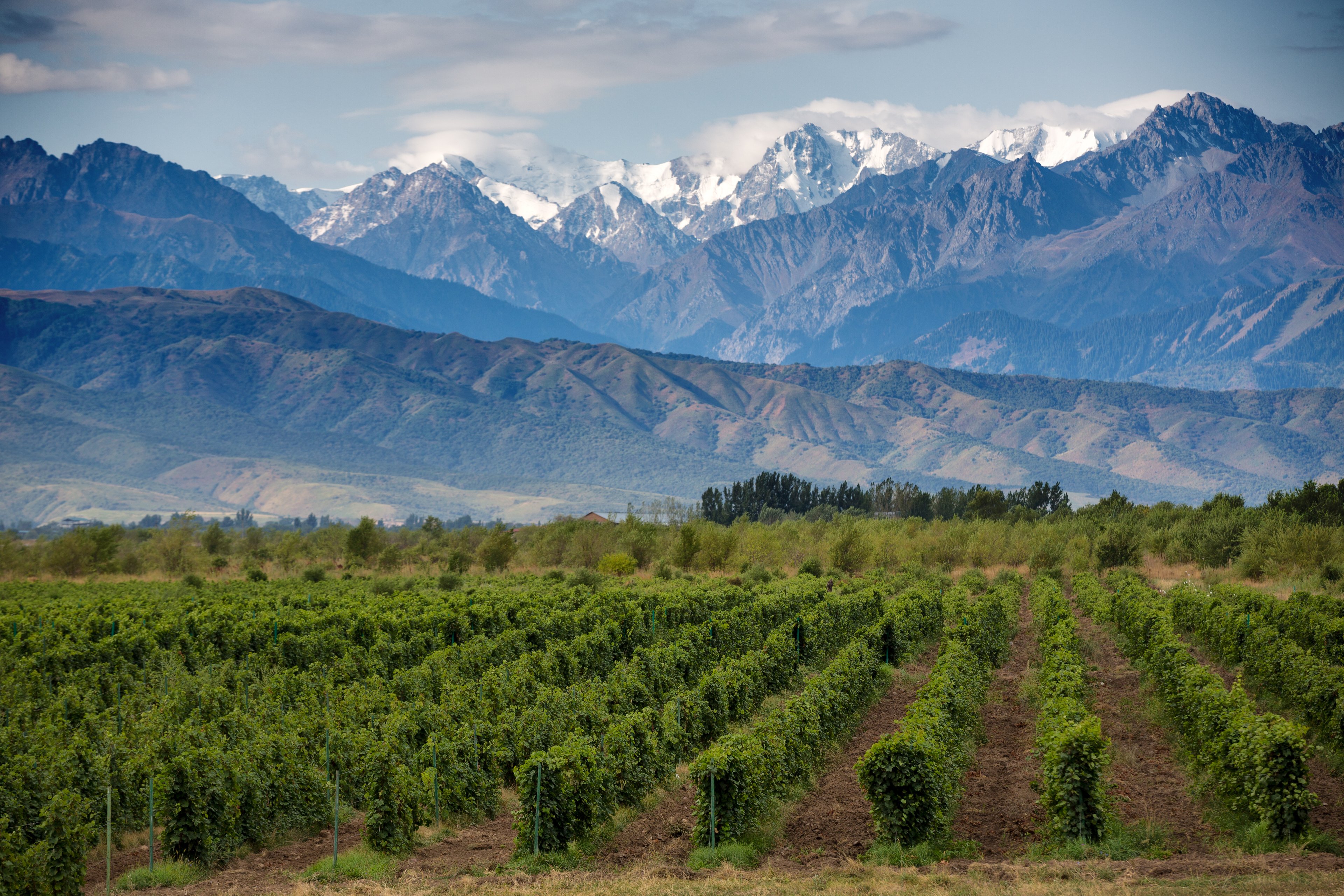 48 Hours In Patagonia’s Wine Regions