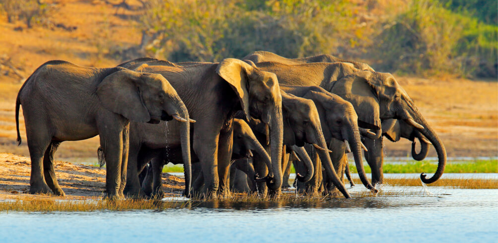 Three Of The Best National Parks In Southern Africa  