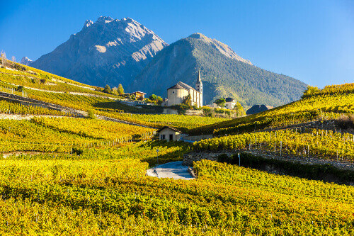 Valais makes the best syrah wine Vineyards below church at Conthey, Sion region in canton Valais, Switzerland