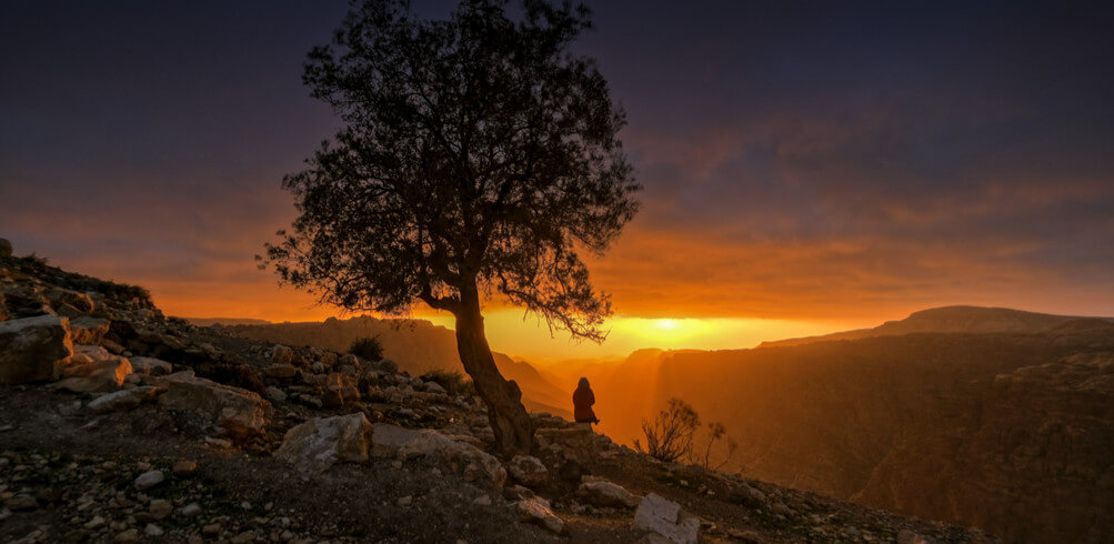 Get Back To Nature In Jordan  