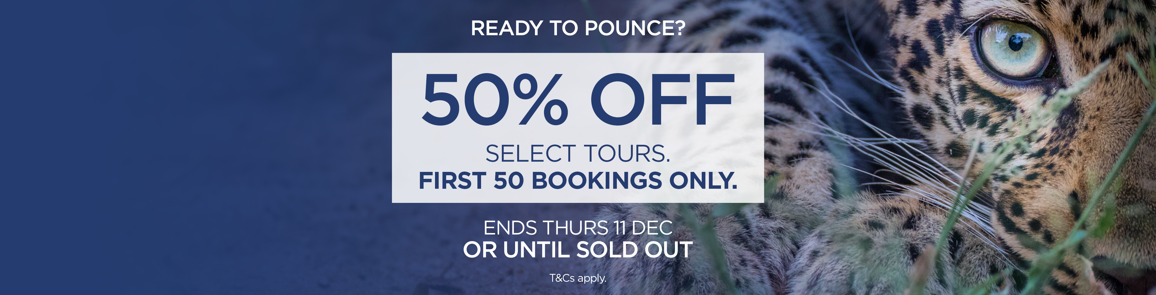 Flash Sale: 50% off. First 50 bookings only!