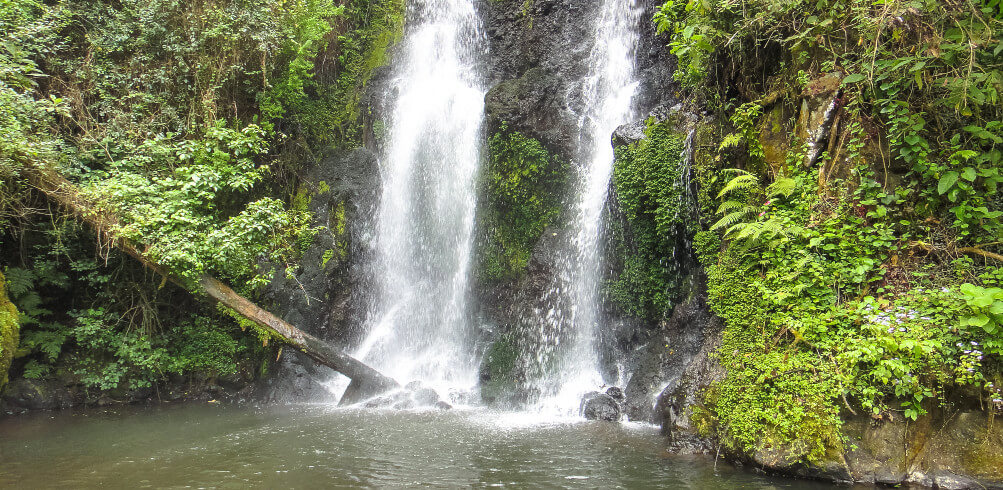 Snapshot: Marangu Waterfalls 