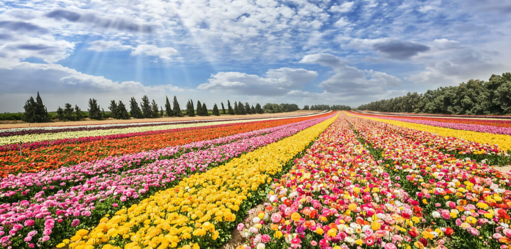 When Is The Best Time To Visit Israel