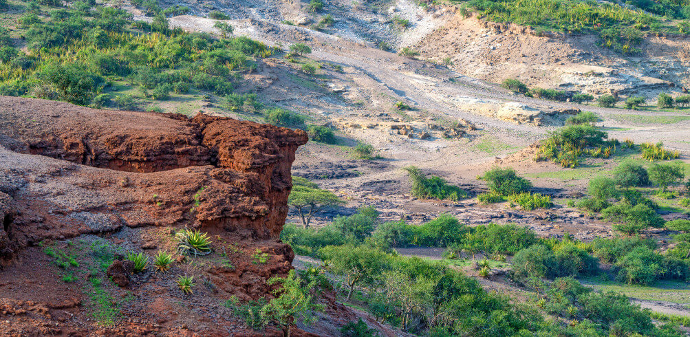 Why Tanzania Needs To Be On Your Bucket List  