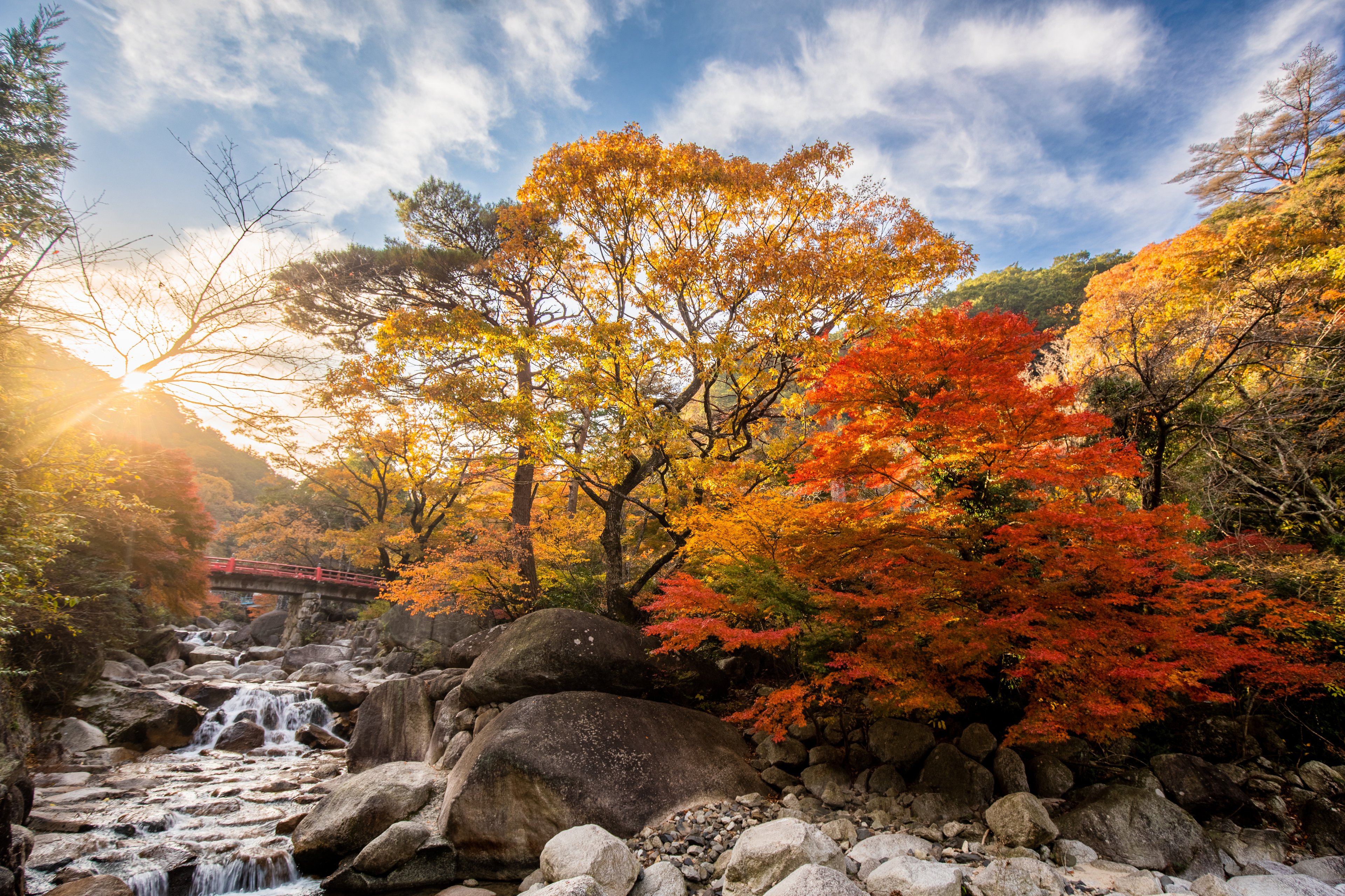 Japan’s most iconic temples, mountains, and cityscapes are even more breathtaking when framed by vibrant autumn foliage.