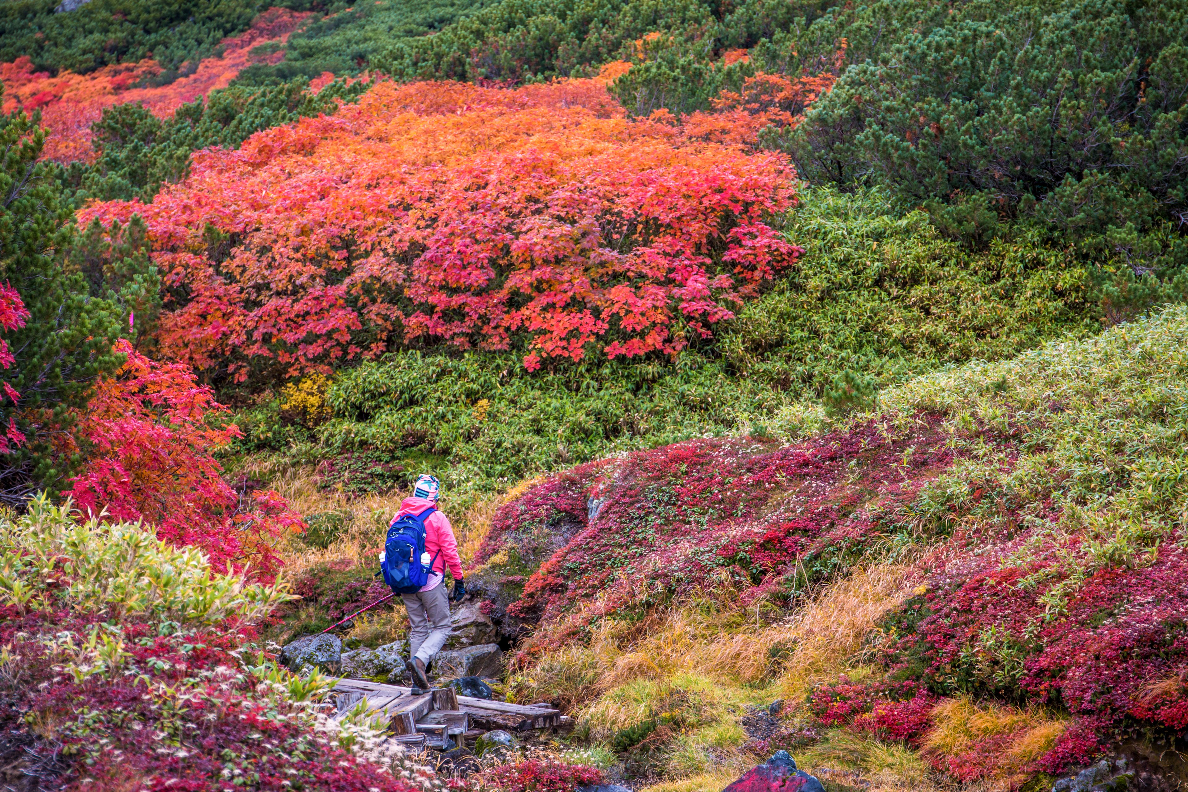 Daisetsuzan National Park