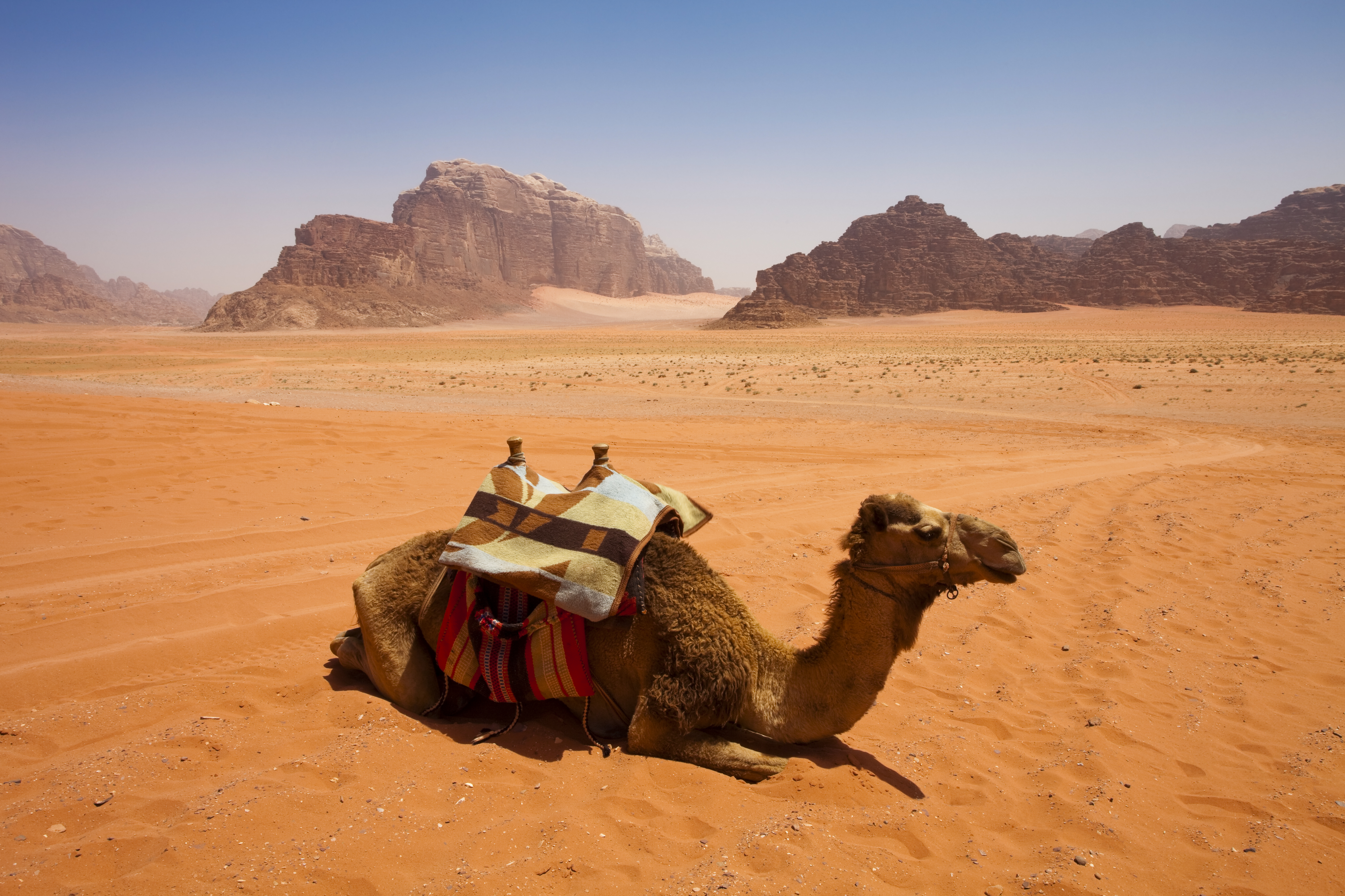 Explore Jordan&rsquo;s ancient sites in comfort with Inspiring Vacations&rsquo; expert-guided tours