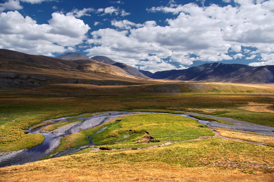 Mongolian mountain steppes