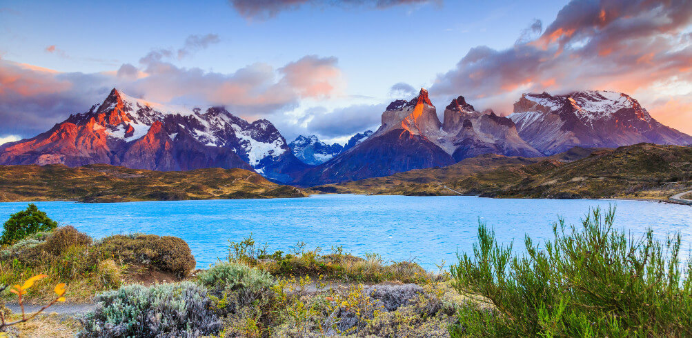 Wild Patagonia 