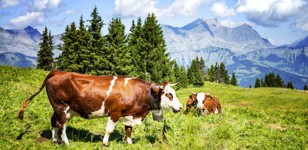 6 Spectacular Must-Visit Towns In The French Alps  