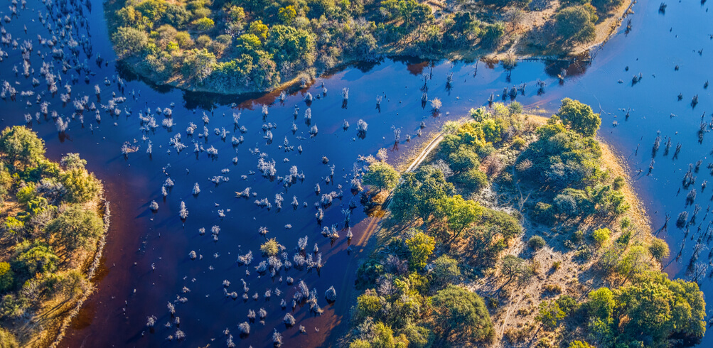 5 Reasons To Visit Botswana In 2019 