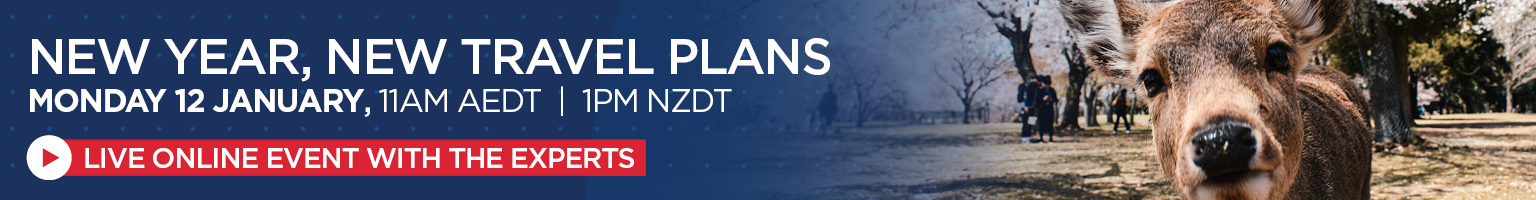 NEW YEAR, NEW TRAVEL PLANS Banner