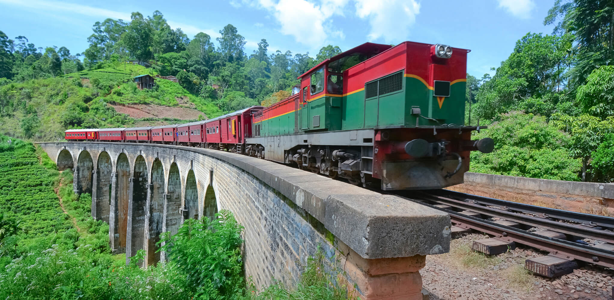 When Is The Best Time To Visit Sri Lanka