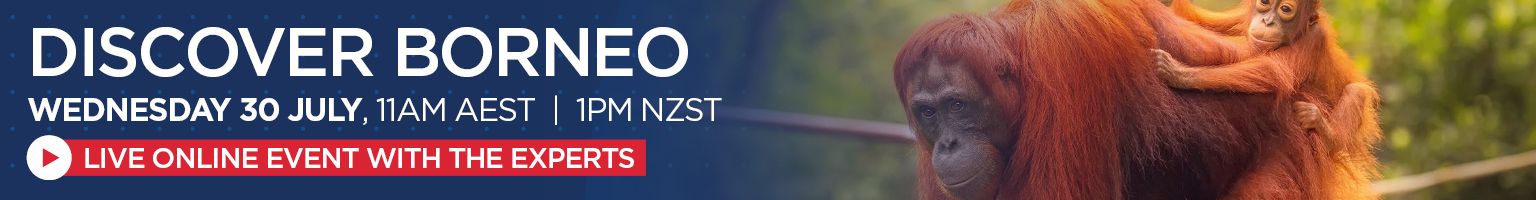 DISCOVER BORNEO Banner