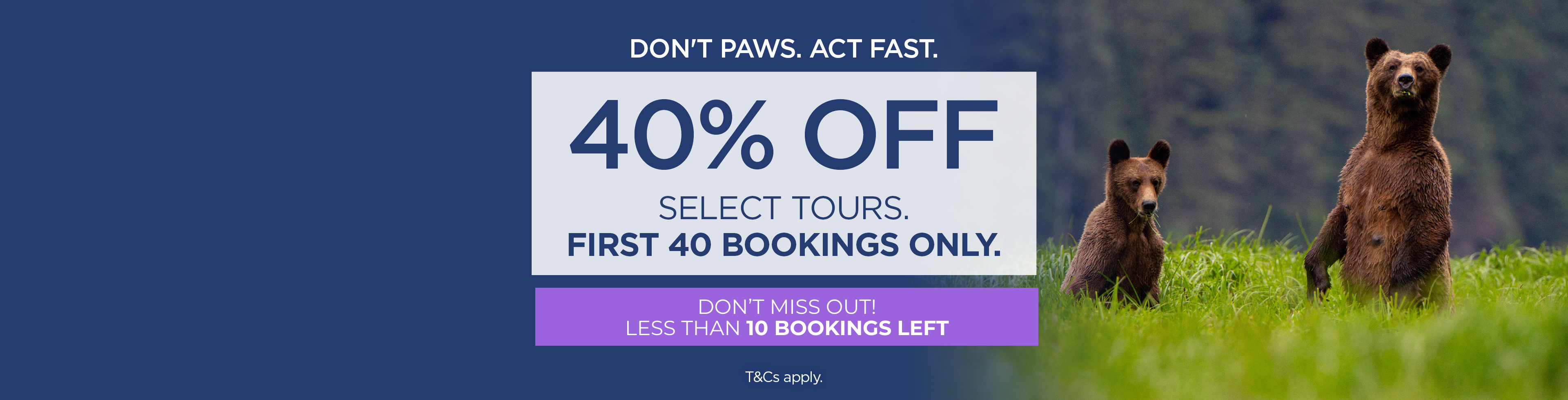 Flash Sale: 40% Off for 40 Bookings Only