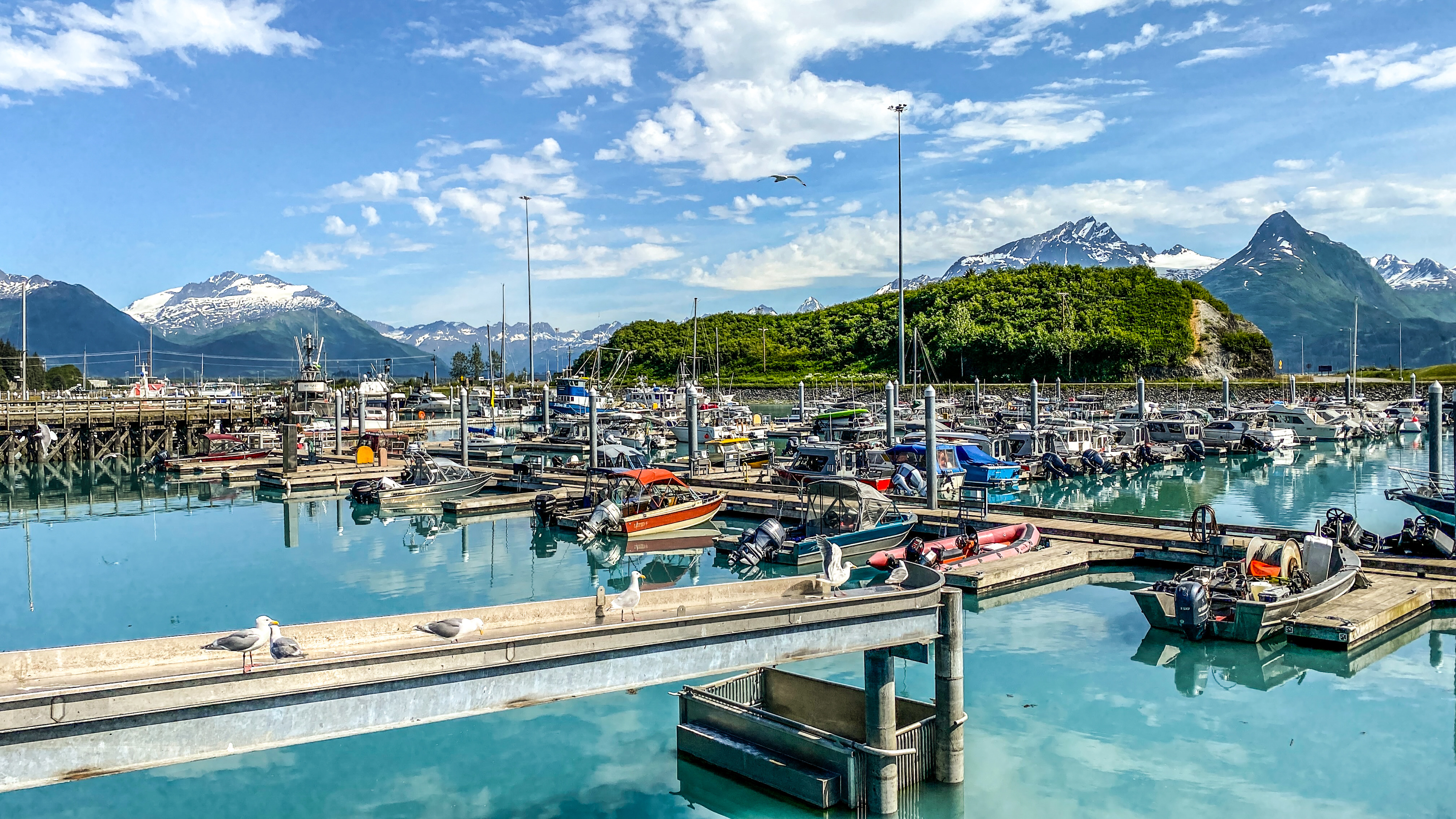 Valdez fishing harbour