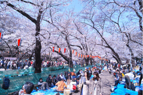 Customers On Tour: Gina And Brendan On Unforgettable Japan