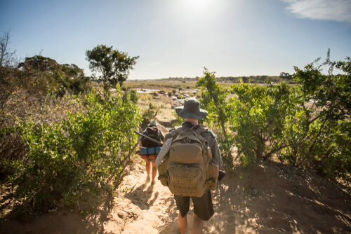 Visitors to Southern Africa embark on an adventurous bush walk.