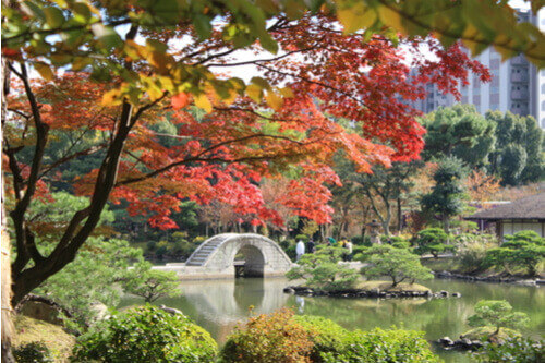 Shukkeien Garden in Hiroshima, Japan.