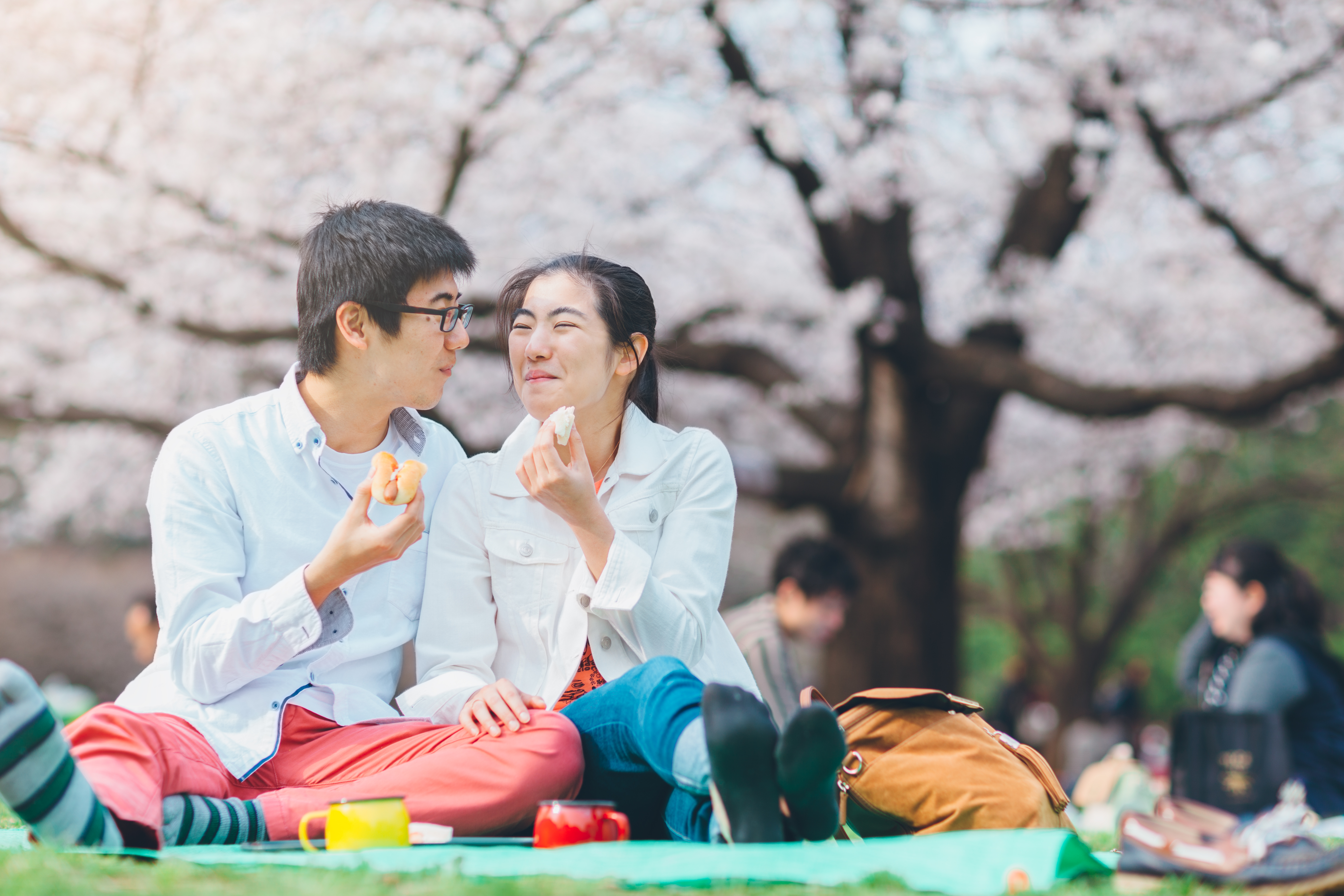 A Hanami picnic in Japan is a must to enjoy food beneath the full-bloom cherry blossoms during peak sakura season in spring.