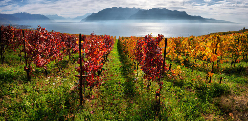 10 Things You Need To Know About Switzerland 