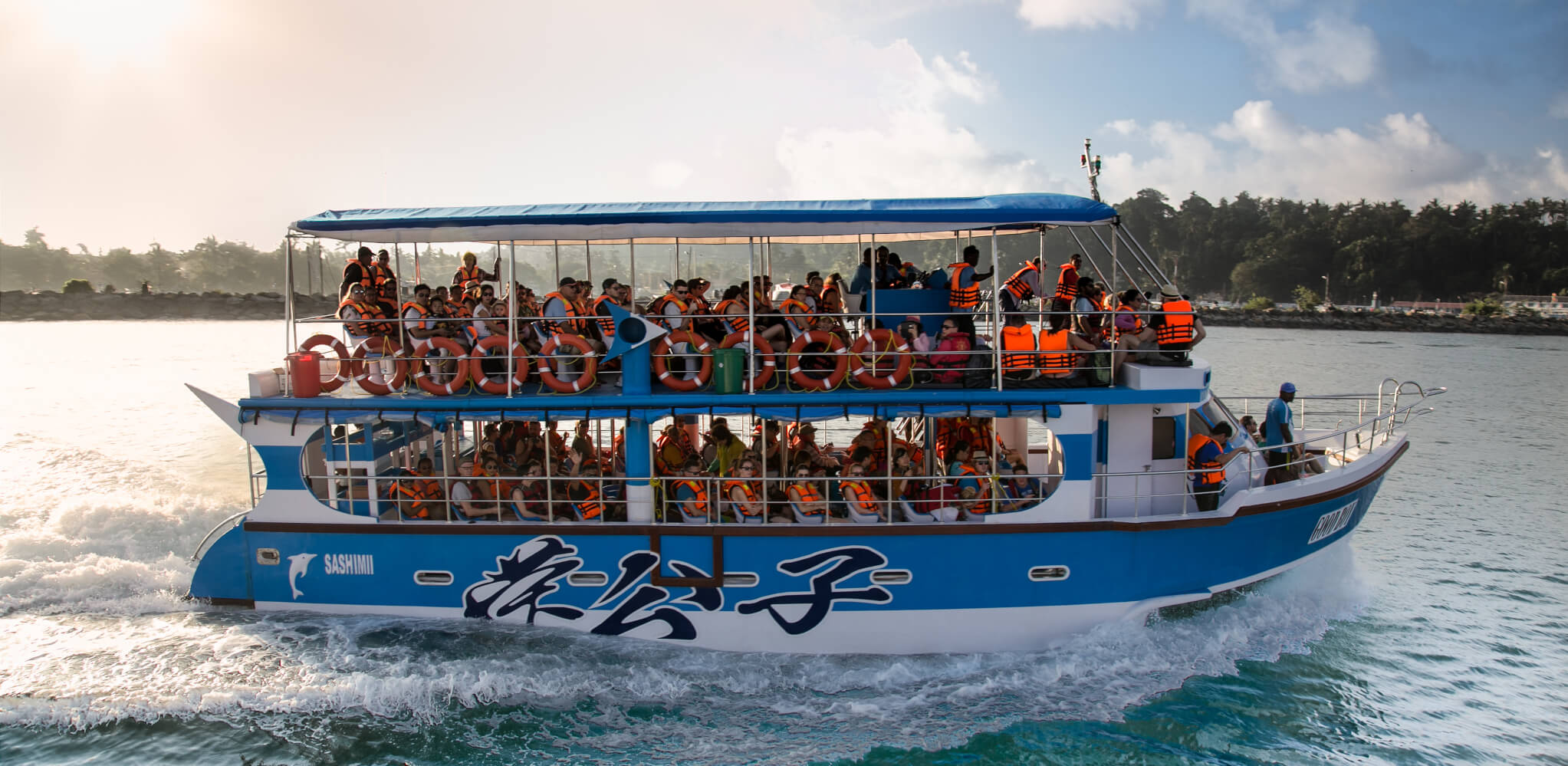 Whale And Dolphin Watching In Sri Lanka 